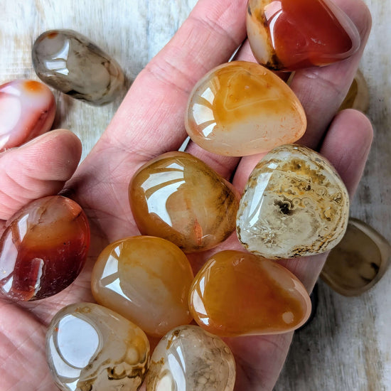 smoothed-tumbled-Sardonyx