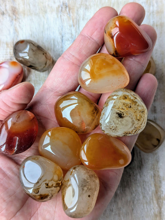 smoothed-tumbled-Sardonyx