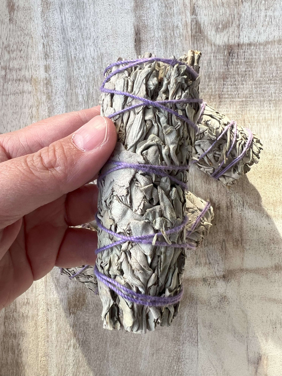 White Sage Smudge Stick 4